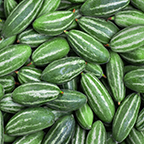 Pointed Gourd